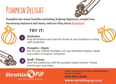 Pumpkin Season Bonus Recipe Struttin Pup