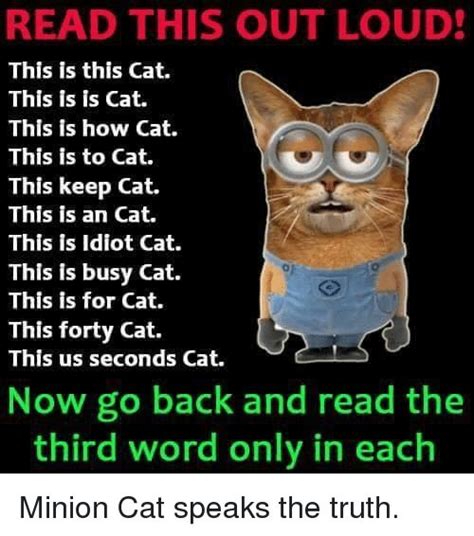 Minion Cat Meme