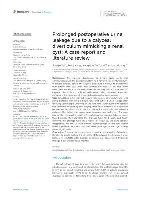 Pdf Prolonged Postoperative Urine Leakage Due To A Calyceal Diverticulum Mimicking A Renal