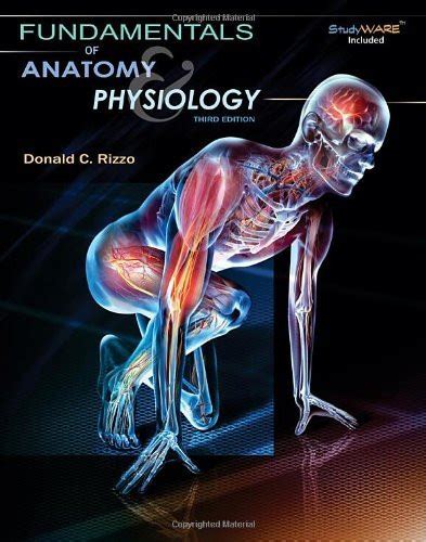 Fundamentals Of Anatomy And Physiology By Donald C Rizzo American