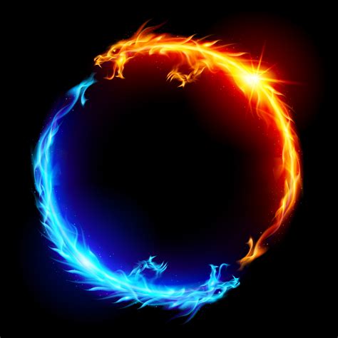 Blue And Red Fire Dragons — Stephen Josephs Black Background Images