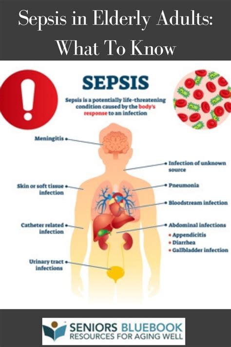 Articles Sepsis In Elderly Adults What To Know Seniors Blue Book