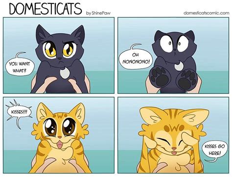 These 10 Domesticat Comics Will Have You Smiling All Day I Can Has