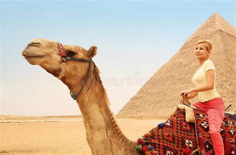 459 Mujer Que Monta Un Camello Fotos De Stock Fotos Libres De