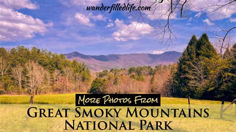 Best Easy Day Hikes Great Smoky Mountains National Park Ph