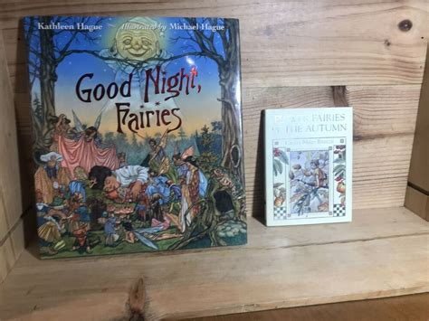 2 Fairy Fairies Books Good Night Fairies And Flower Fairies Of The Autumn