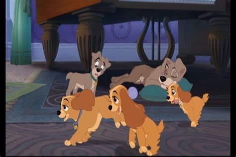 Lady And The Tramp 2 Screencaps Lady And The Tramp Ii Image 15595229