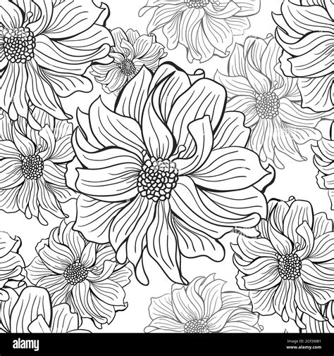 Dahlia In Spring Black And White Stock Photos And Images Alamy