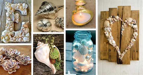 35 Best Diy Shell Projects Ideas And Designs For 2023