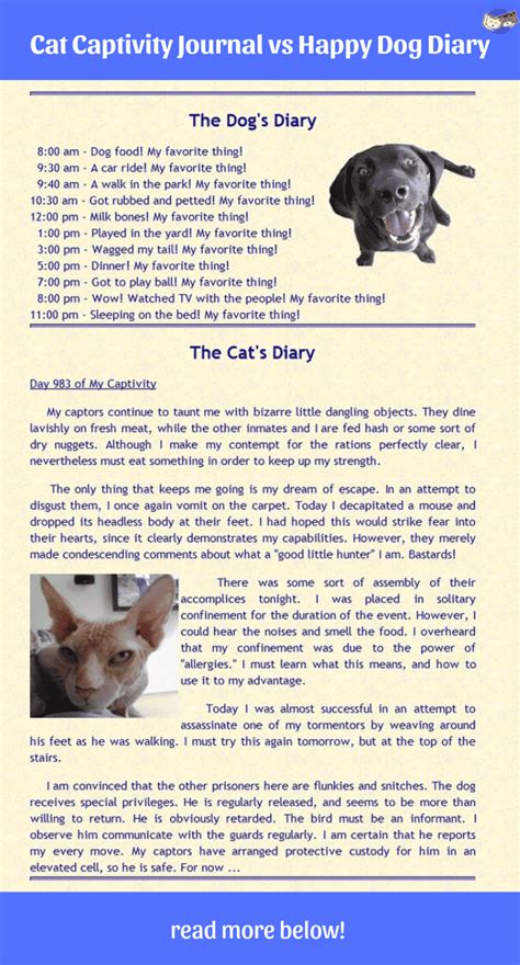 Cat Diaries Vs Dog Diaries Which Is More Fun