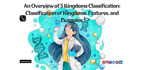 An Overview Of 5 Kingdoms Classification Classification Of Kingdoms
