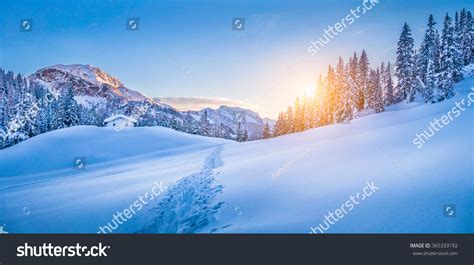Panoramic View Beautiful Winter Wonderland Mountain Stock