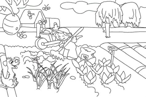 Cauti o plansa de colorat cu primavara. Desene De Colorat Gradina Cu Flori