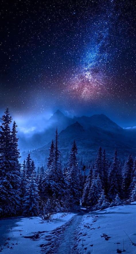 Galaxy Forest Wallpapers Top Free Galaxy Forest Backgrounds