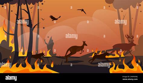 Australian Animals Silhouettes Running From Forest Fires In Australia