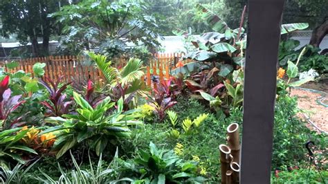 Backyard Tropical Garden Ideas Historyofdhaniazin95