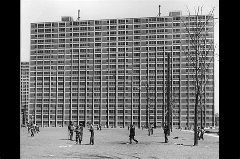 Project cabrini green is a public art installation created with the community in response to this event. Cabrini Green | Chicago Gang History