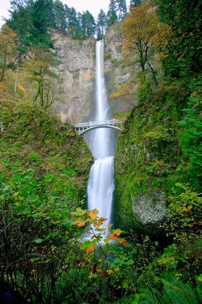 Premium Photo Autumn Majesty Multnomah Falls In Oregon Usa Bedecked