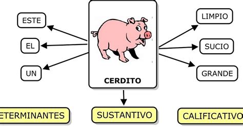 Los Adjetivos Tipos O Clases De Adjetivos