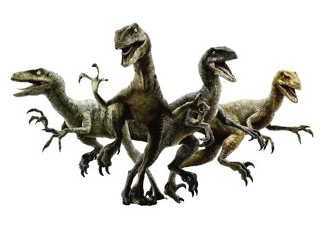 Jurassic Park ~ Velociraptor Pack By Adultsimba20official On Deviantart