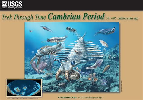 The Early Paleozoic And Its Mass Extinctions The Earth How Much Do