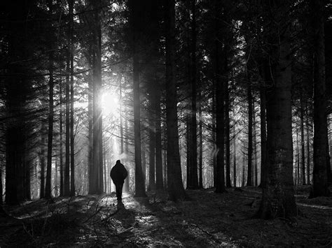 Man Walks Alone In Dark Woods Normal Paranormal