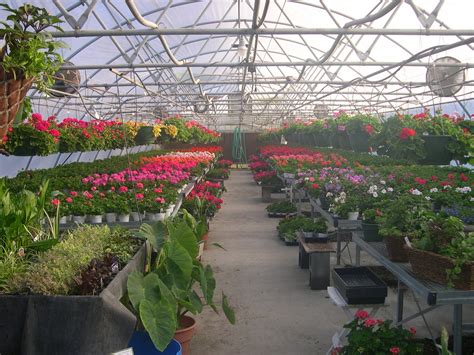 Free Greenhouses Stock Photo