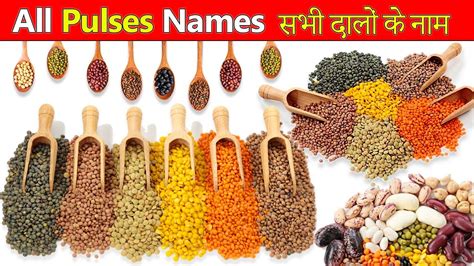 Pulses Names In English With Pictures डालो के नाम Dalo Ke Naam