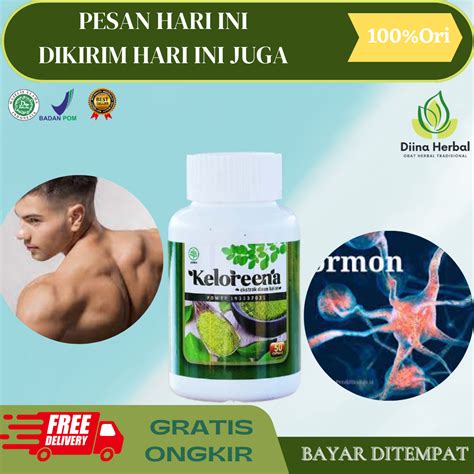 Obat Herbal Hormon Testosteron Obat Penambah Hormon Testosteron Obat