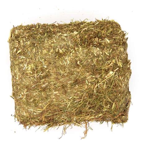 Just4rabbits Foraging Fun Timothy Hay Block For Rabbits And Guinea Pigs