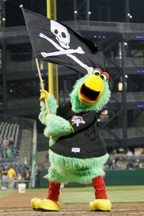 Pirate Parrot Pittsburgh Pirates Sportsmascots Wikia Fandom