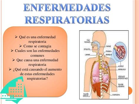 Enfermedades Respiratorias Y Sus Sintomas