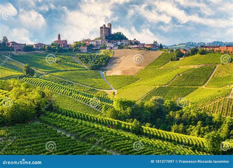 Langhe Region Piedmont Italy Vineyards Landscape In Spring Summer