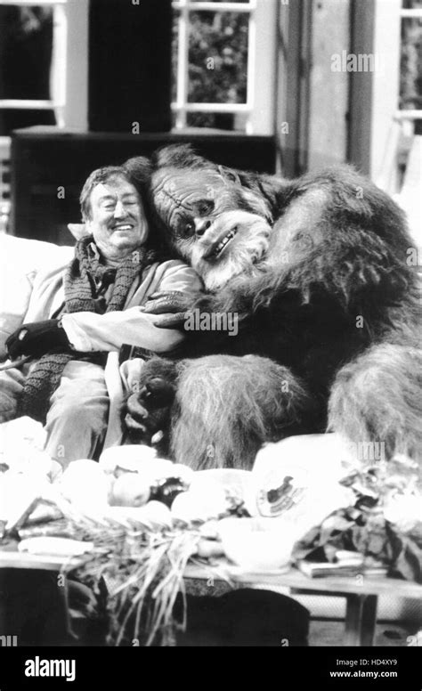 Harry And The Hendersons From Left Tom Poston Kevin Peter Hall As