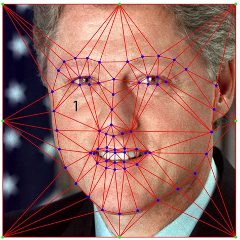 Face Images With Marked Landmark Points Kaggle