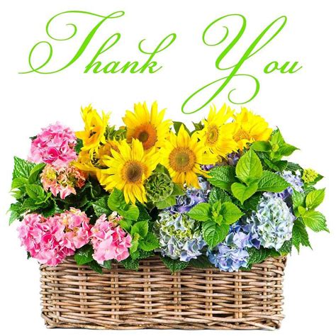 Colorful Flowers Thank You Card Stock Photo Colourbox