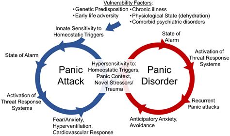 Frontiers Neuroimmune Mechanisms In Fear And Panic Pathophysiology