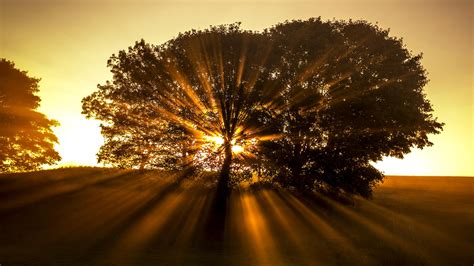 We have many more template about 4k wallpaper pack zip including template, printable, photos, wallpapers, and more. 2048 X 1152 Pictures Nature - Hd Wallpaper Desktop ...