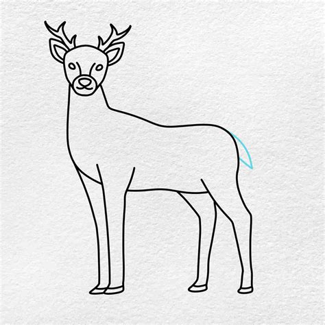 How To Draw A Deer Head Step By Step Easy