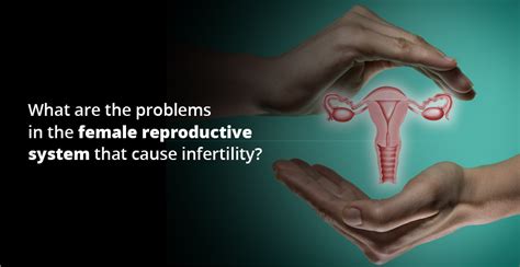 female infertility causes diagnosis and treatment birla fertility and ivf