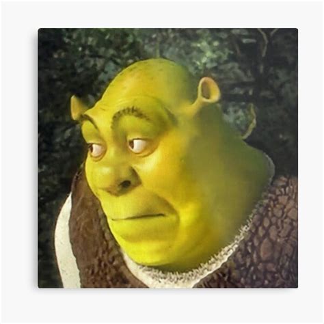 Shrek Face Meme Metal Print For Sale By Mylifeasgaia Redbubble