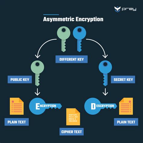 Encryption Choices Rsa Vs Aes Explained Prey