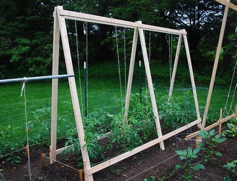 A Growing Tradition Tomato Trellises Trial And Error