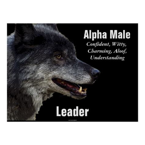 Quotes About Alpha Male 44 Quotes