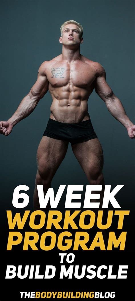 6 Week Workout Program To Build Muscle With Pdf Workout Programs 6