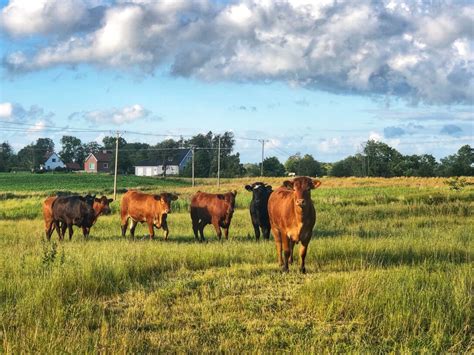 How is this information sourced? Era bästa Stockholmstips för barn | July 8, 2019 | The Way ...