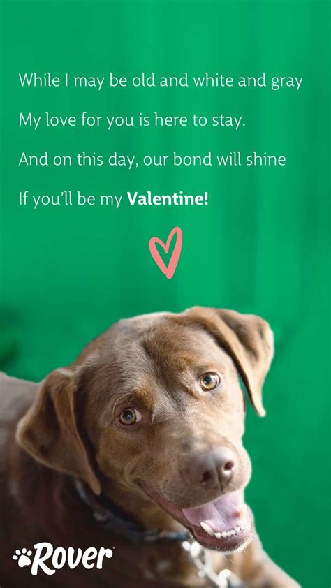 Dog Valentines 4 Heartfelt Digital Dog Valentine Cards From Your Dog