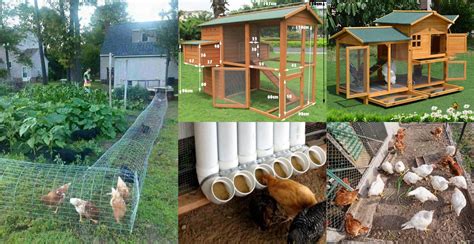 50 Beautiful DIY Chicken Coop Ideas You Can Actually Build