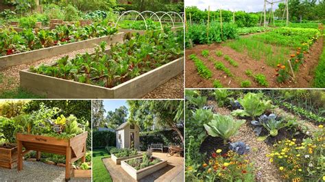 50 Fantastic Backyard Vegetable Garden Ideas Your Gardening Forum