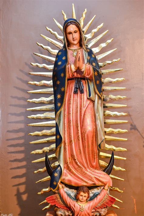 Nuestra Señora De Guadalupe The 9th Annual Salve Regina Gr Flickr